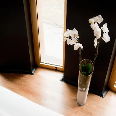 Hotel Axel - Adults Only 4*